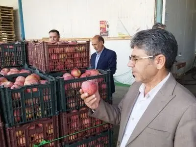 واگذاری ۲۰۰ هکتار از اراضی ملی آذربایجان‌غربی برای طرح‌های کشاورزی و تولید انرژی