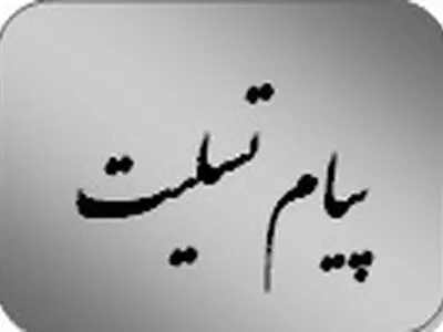 پیام تسلیت وزیر اقتصاد به دکتر طهماسب مظاهری