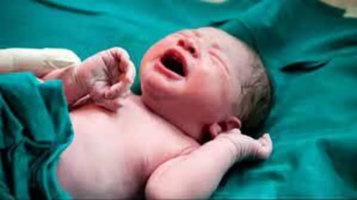 تولد بیش از ۴ هزار نوزاد در گیلان