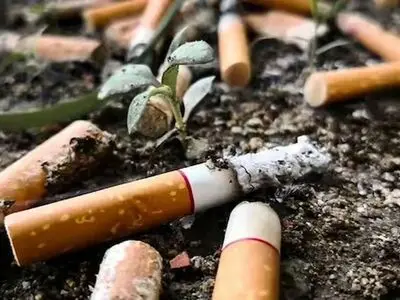 ته‌سیگارها به کمک جاده‌ها می‌آیند