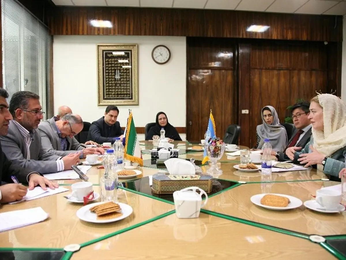 «تداوم تحریم‌ها» تلاش ایران برای بازگشت داوطلبانه اتباع را به همراه خواهد داشت/ایران در مقابل پناهندگان سخاوتمند است