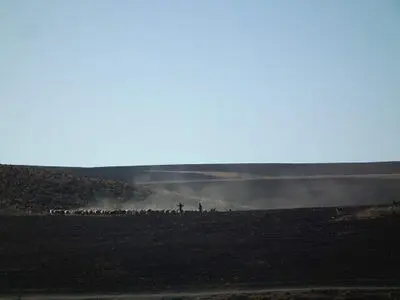 طبیعت در قاب‌ عکس
