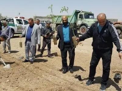 نهالکاری مشارکتی با همکاری شهروند طبیعت دوست در شهرستان اشتهارد اجرا شد