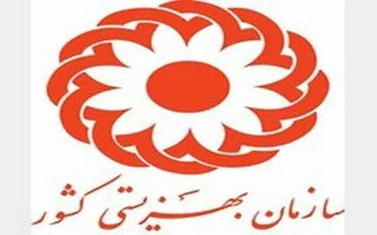 چالش‌های اقتصادی مراکز توانبخشی/ افزایش یارانه این مراکز در دستور کار 