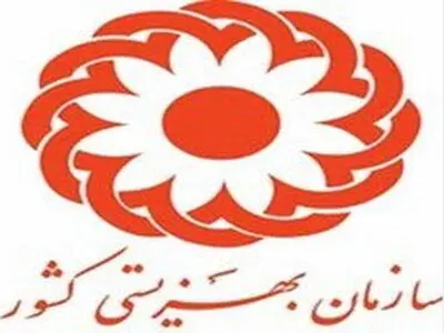 چالش‌های اقتصادی مراکز توانبخشی/ افزایش یارانه این مراکز در دستور کار 