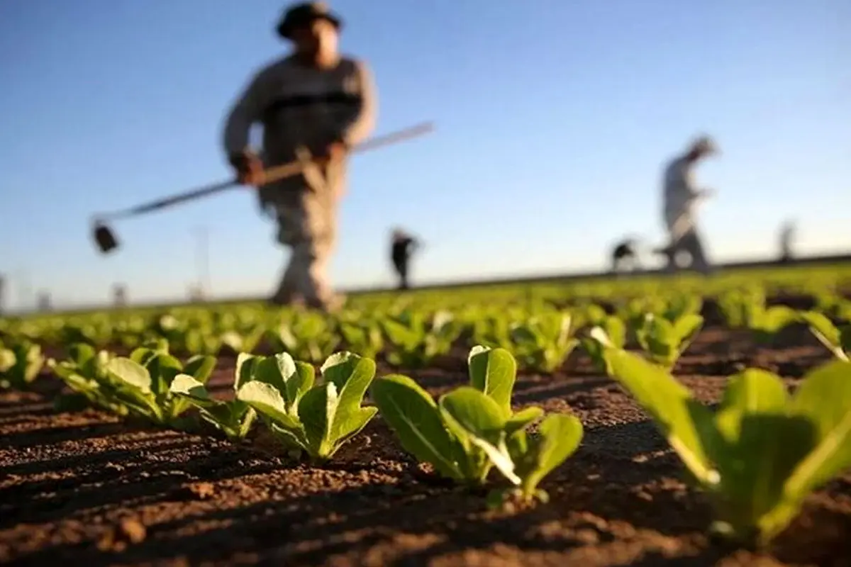 Iran exports $6 bn agricultural products annually: official