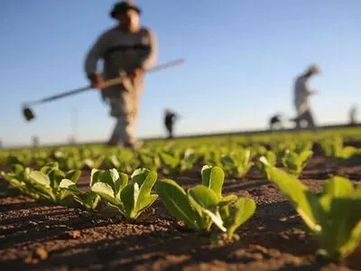 Iran exports $6 bn agricultural products annually: official