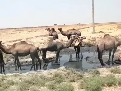 asdasd