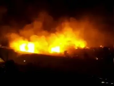 اعلام جزییات آتش سوزی در پارک چیتگر
