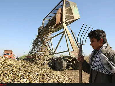 در هفت‌تپه چه می‌گذرد/کارگران می‌خواهند روزهای اوج بازگردد