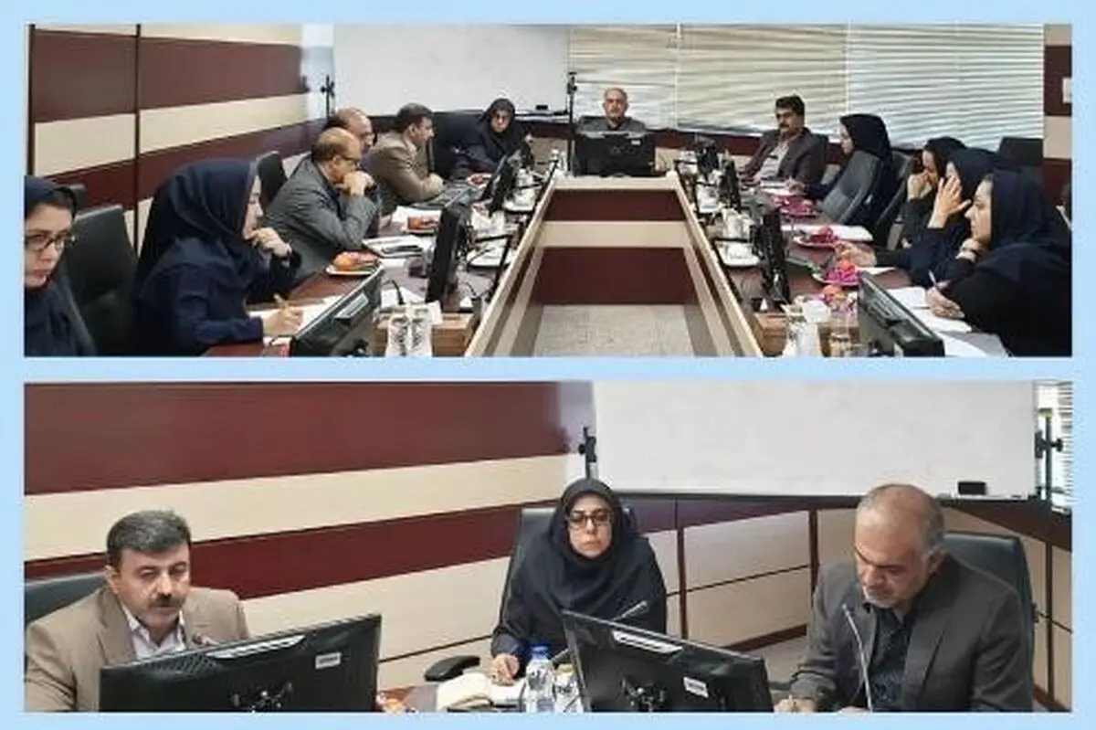 برگزاری پنجاه و نهمین نشست کارگروه تهدیدکننده‌های محیطی سلامت 