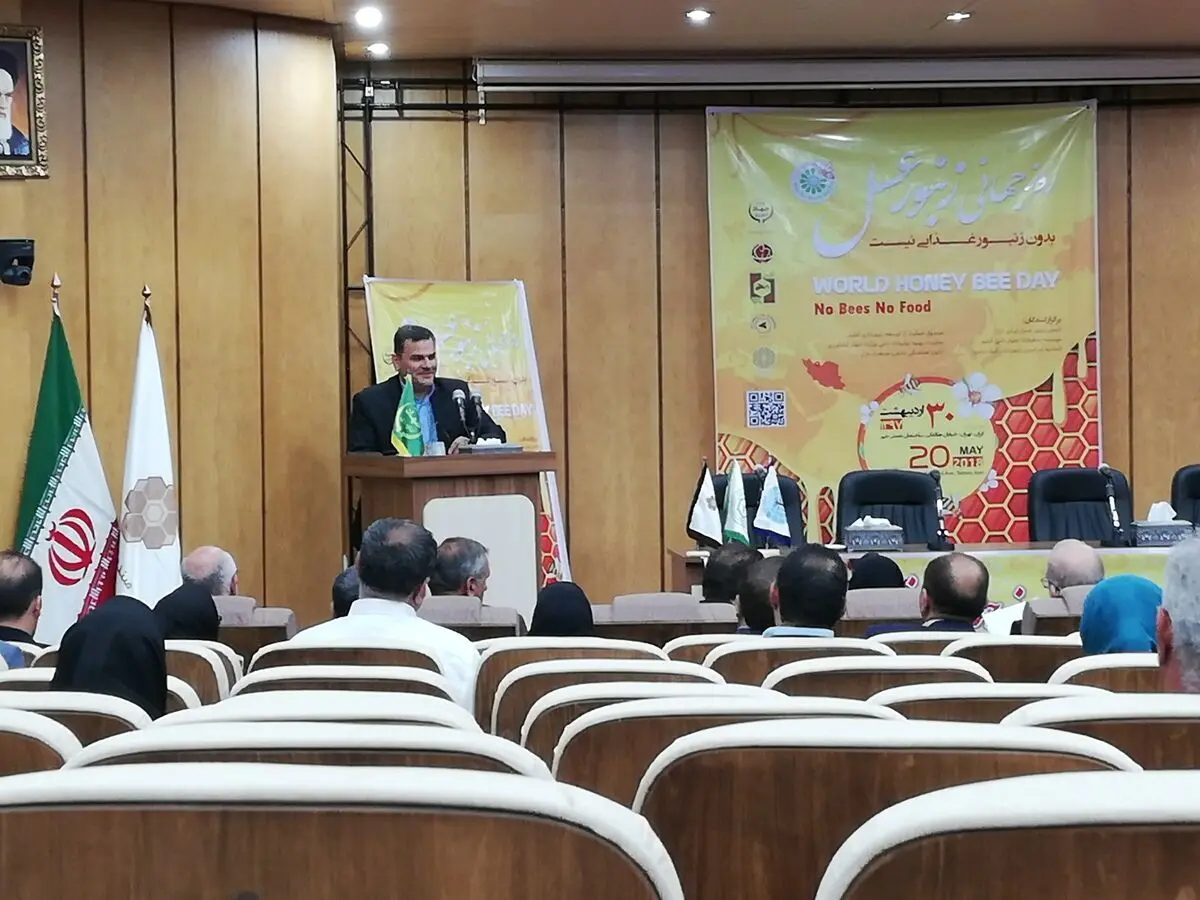 حیات بدون زنبور عسل امکان پذیر نیست/ رتبه پنجم ایران در تولید عسل یک افتخار ملی است 