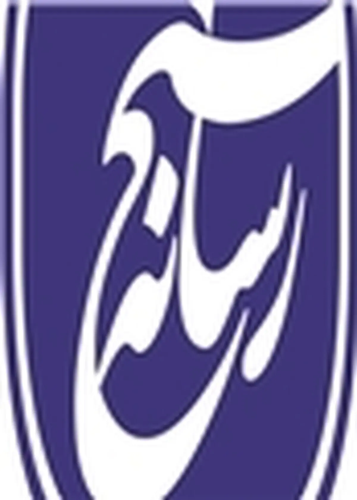 عدم ایجاد تنش در جامعه از کارکردهای رسانه است
