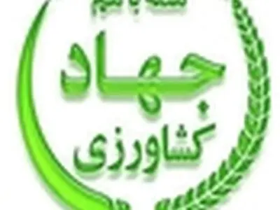 پرداخت بیش از ۴۲۰ میلیون ریال یارانه بین کشاورزان سویاکار جویبار