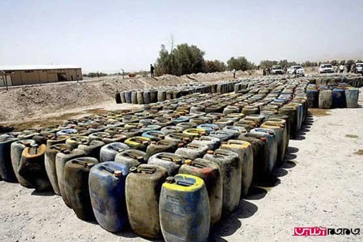 شناسایی دپوی 59 هزار لیتر سوخت قاچاق در جنگل های دریایی حرا 