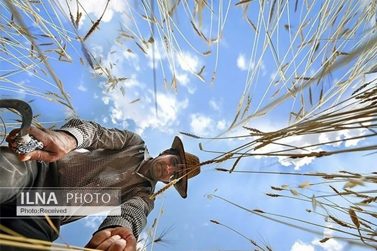 جستجوی کار در روستاها آغاز شده است/ اشتغال با پول‌پاشی ممکن نیست 