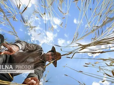 جستجوی کار در روستاها آغاز شده است/ اشتغال با پول‌پاشی ممکن نیست 