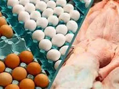 افزایش تقاضای کاذب علت اصلی کاهش مرغ و تخم مرغ در سمنان  