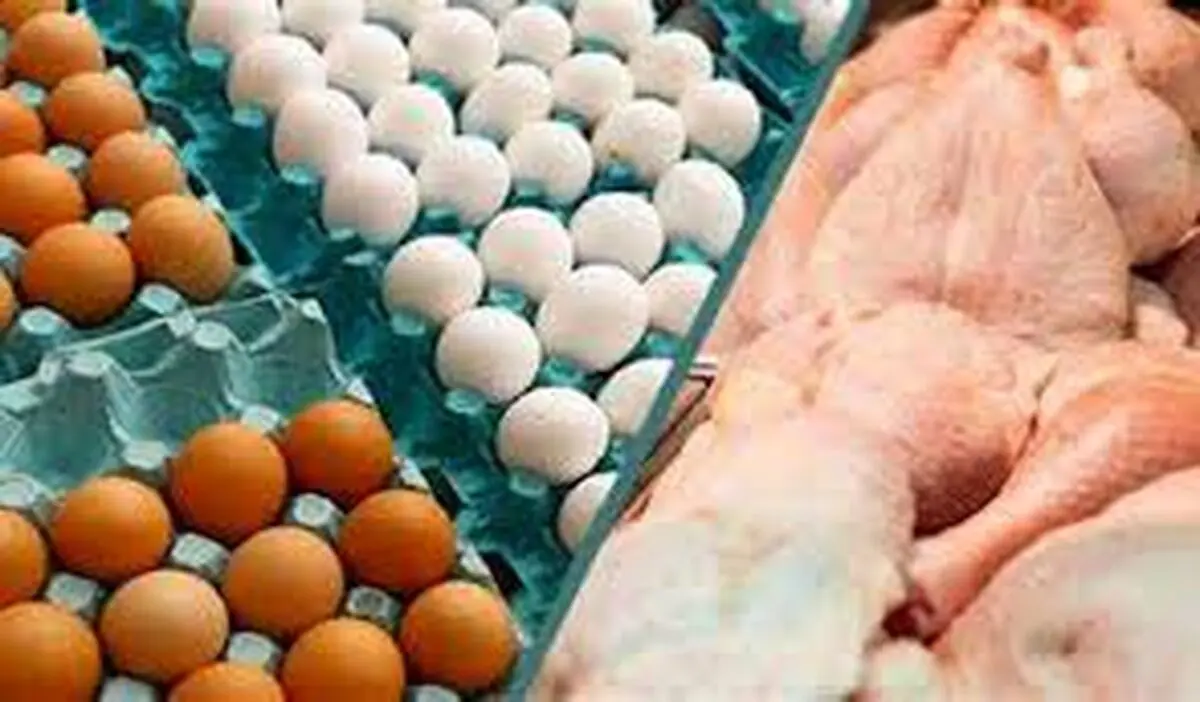افزایش تقاضای کاذب علت اصلی کاهش مرغ و تخم مرغ در سمنان  