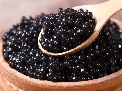 توسعه همکاری‌های شیلاتی ایران و ازبکستان با محوریت صادرات خاویار