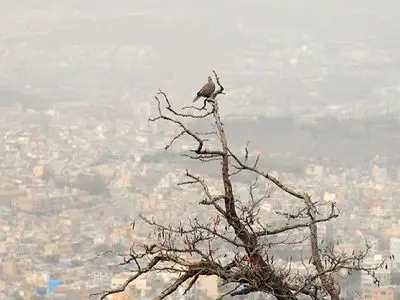 ۱۵ شهر در وضعیت قرمز و نارنجی/هندیجان در وضعیت بنفش آلودگی هوا 