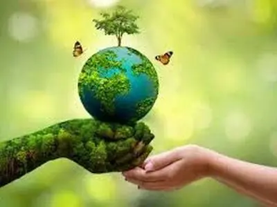 صدور حکم جایگزین حبس برای متخلف سابقه دار قطع درختان جنگلی در شیراز