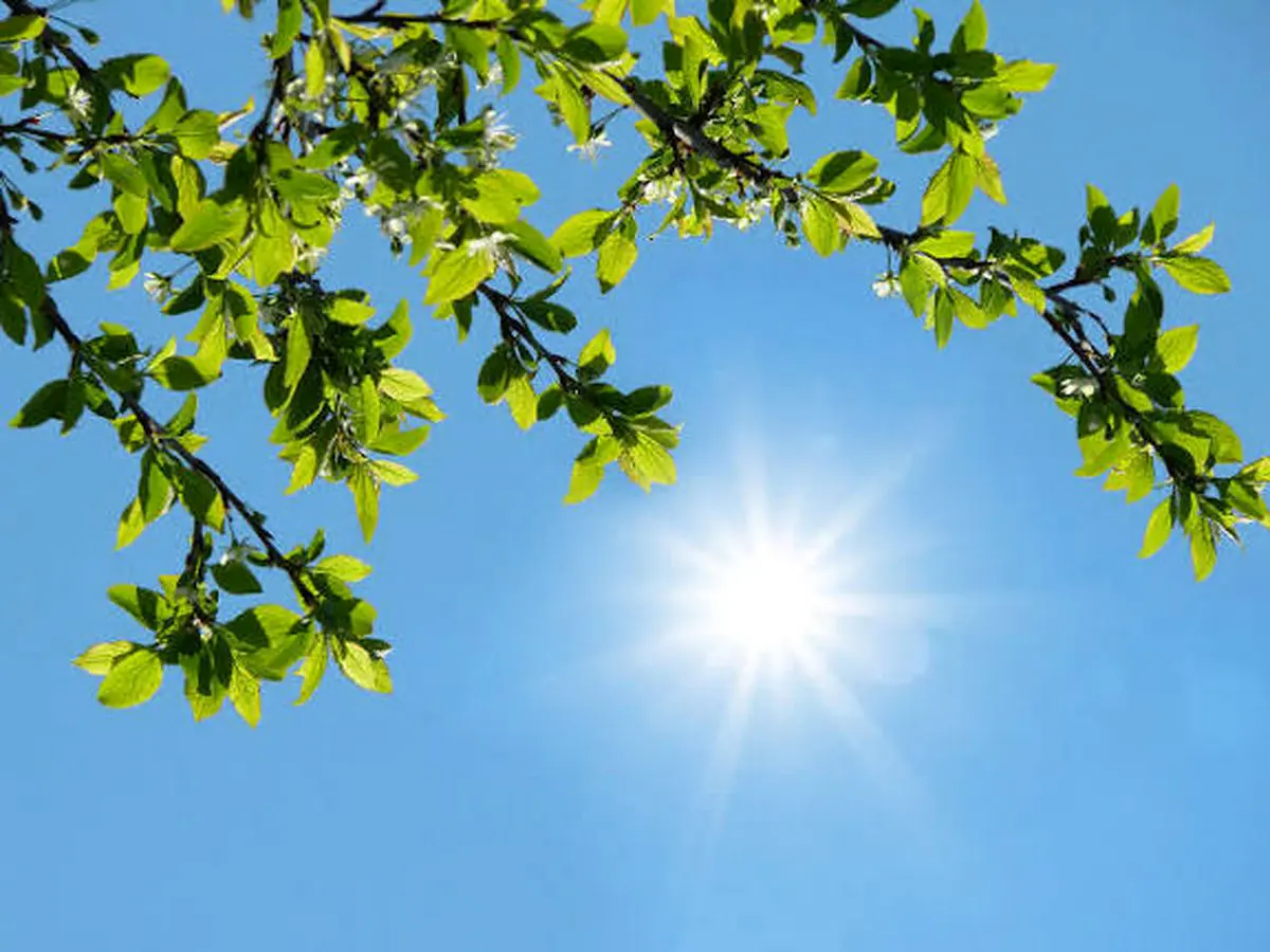 جوی پایدار در بیشتر مناطق کشور 