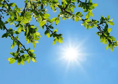 جوی پایدار در بیشتر مناطق کشور 