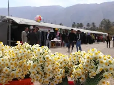 شهرستان خفر یکی از قطب‌های مهم گردشگری پاییزی می‌شود