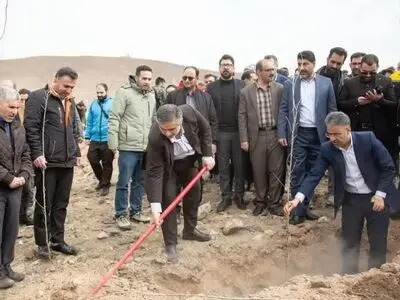 افزایش سطح فضای سبز یکی از راهکارهای مقابله با آلودگی هوا است / کاشت 64 هزار اصله نهال و بذر در استان مرکزی 