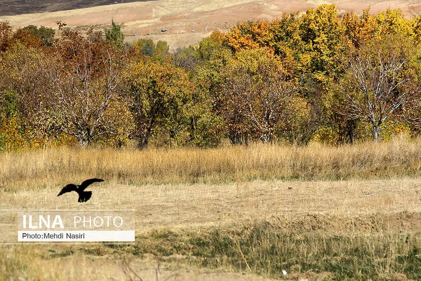  طبیعت پاییزی روستای سرسختی علیا