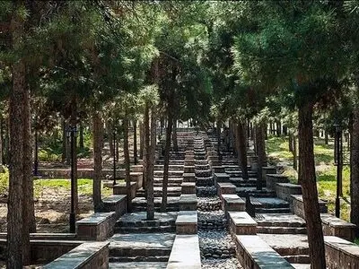 درختان آفت‌زده سرخه‌حصار با درختان پهن‌برگ جایگزین می‌شوند