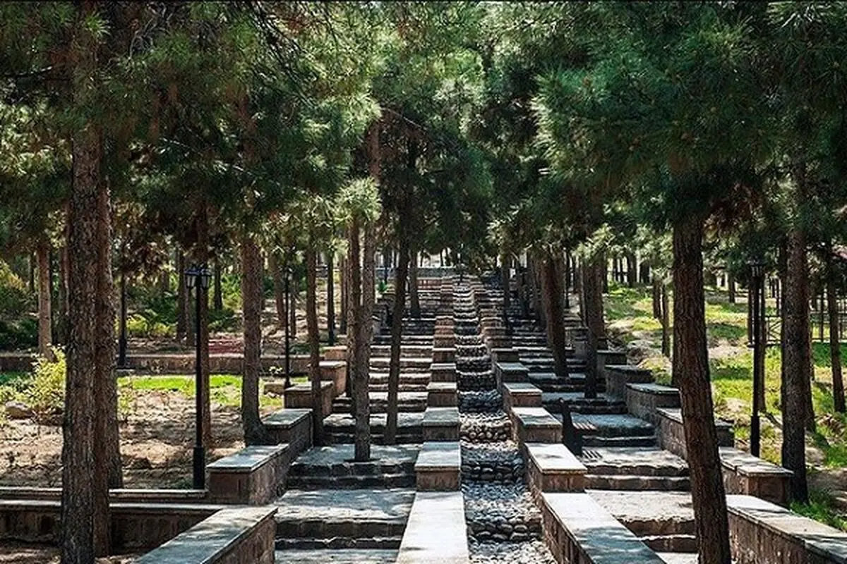 درختان آفت‌زده سرخه‌حصار با درختان پهن‌برگ جایگزین می‌شوند