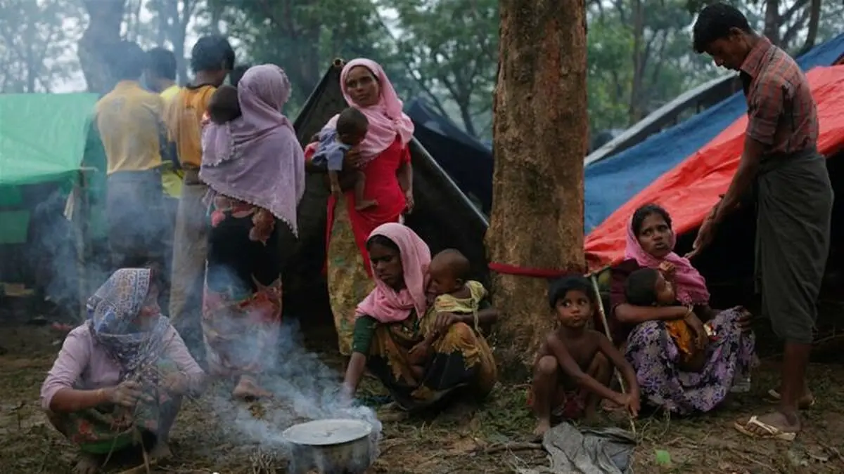 Rohingya rebels declare truce amid humanitarian crisis