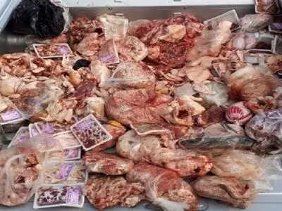 جمع آوری ۱/۵ تن گوشت غیر مجاز در کرمانشاه