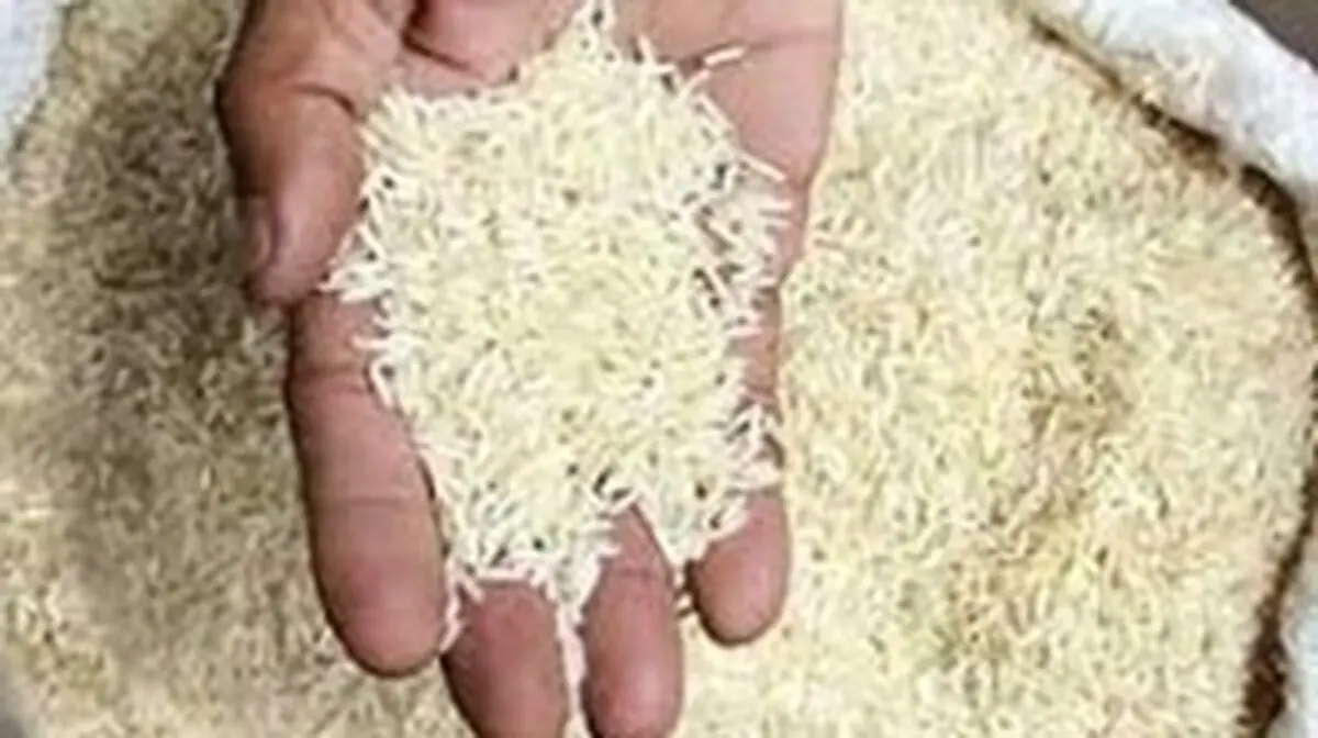 جریمه ۵.۳ میلیاردی برای گرانفروشی برنج در کرمانشاه