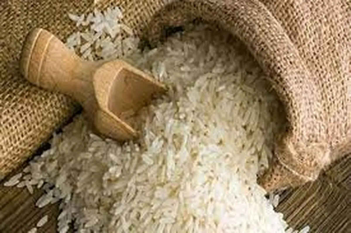 برنج در سبد کالاهای اساسی قرار می‌گیرد