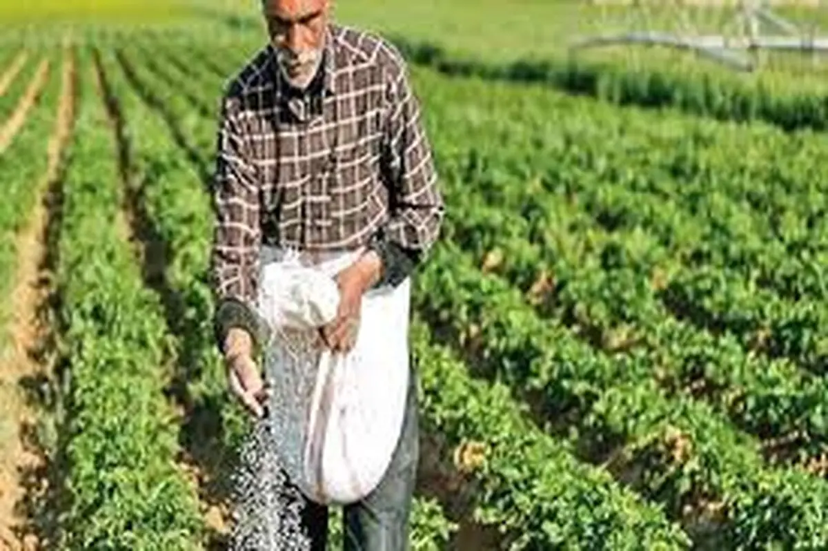 کاهش مصرف کودهای شیمیایی توسط کشاورزان آذربایجان غربی