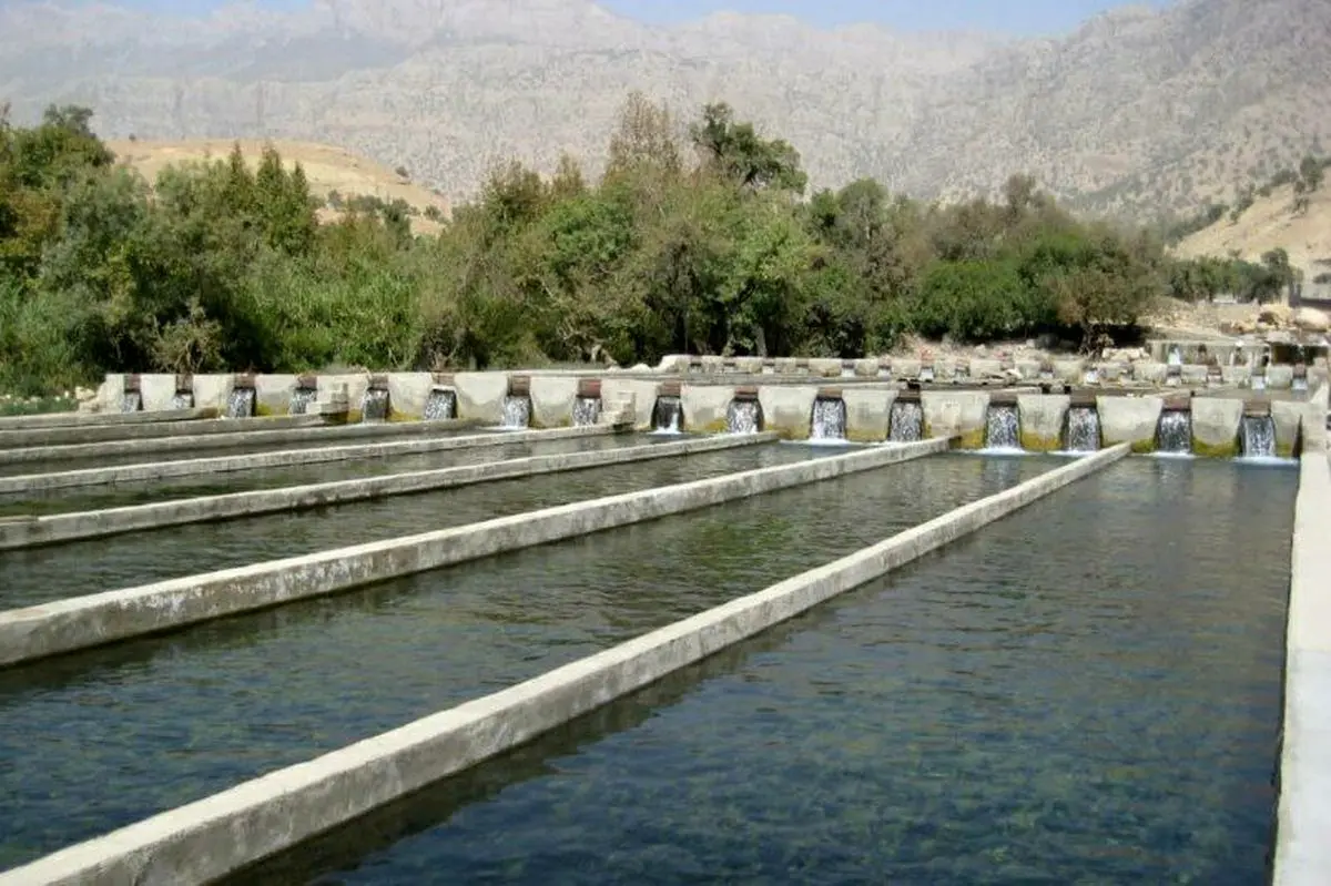 احیا و توسعه ۴ طرح پرورش ماهی در لرستان 