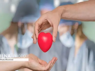 نام نوجوان فداکار آبیکی بر روی تابلوی یک خیابان حک شد