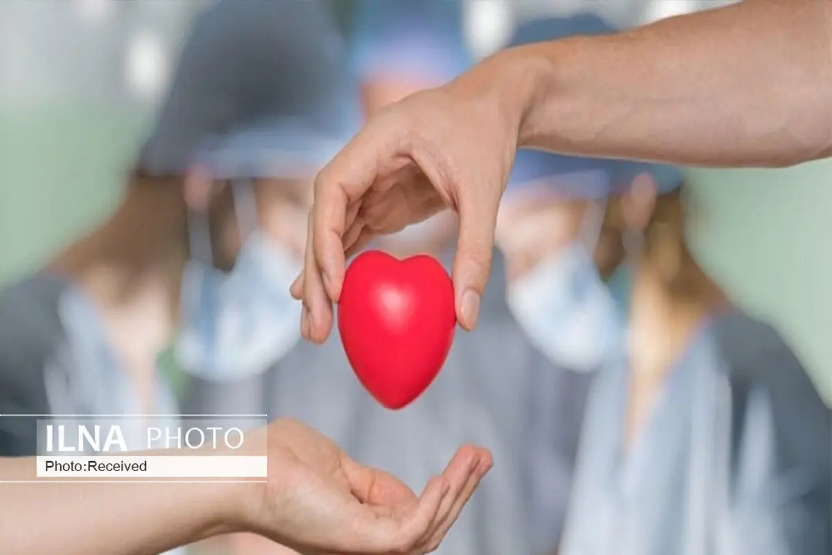 نام نوجوان فداکار آبیکی بر روی تابلوی یک خیابان حک شد