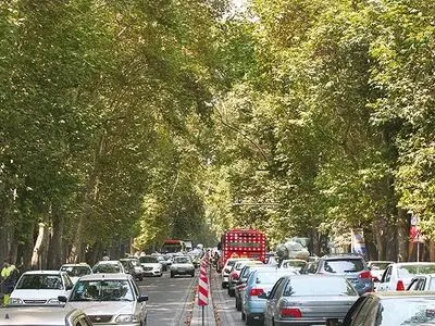 قطع درختان ولیعصر اشتباه است/بیماری به نام "سرطان رنگی" تاکنون نشنیده‌ام