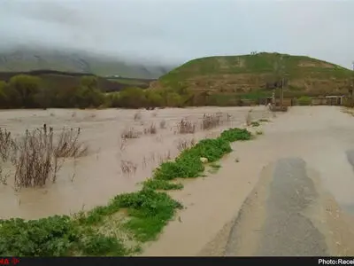 سیل ۳۰ هزار هکتار از اراضی کشاورزی کرمانشاه را کاملا تخریب کرد/ بیشترین خسارت‌ها به گندم وارد شده/ به دلیل عملکرد بد بیمه‌ها بیشتر کشاورزان محصولاتشان را بیمه نمی‌کنند 