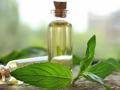 خواص 23 روغن گیاهی برای جوانی پوست