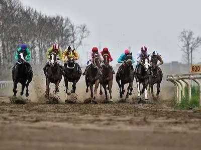 آغاز فصل جدید رقابت‌های سوارکاری پاییزه گلستان در گنبدکاووس