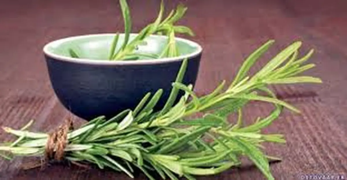 ۵ محرک طبیعی برای افزایش انرژی بدن