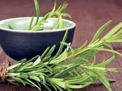 ۵ محرک طبیعی برای افزایش انرژی بدن