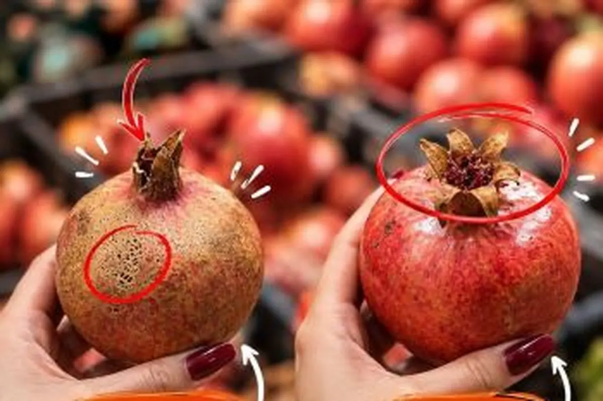 راهنمای انتخاب بهترین میوه و صیفی جات
