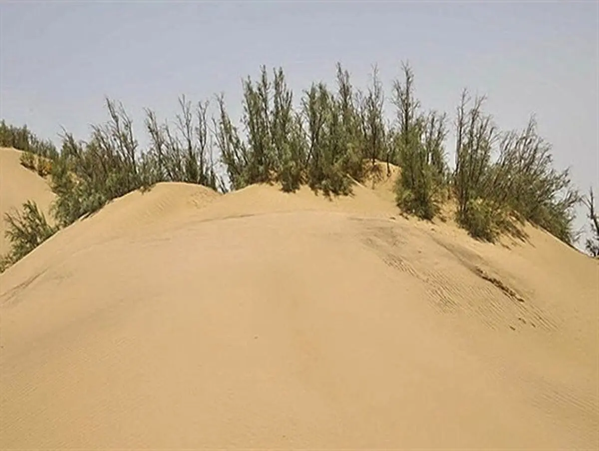 اختصاص ۳۷ میلیارد تومان به پروژه‌های بیابانزدایی در سیستان و بلوچستان