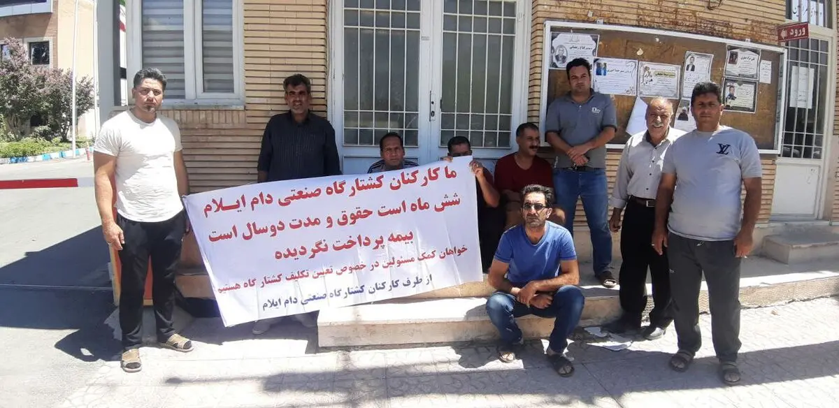 کارکنان کشتارگاه صنعتی ایلام تجمع کردند